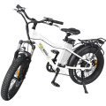 CKD SKD Electric Bike Foldable Small Size Electric Bicycle